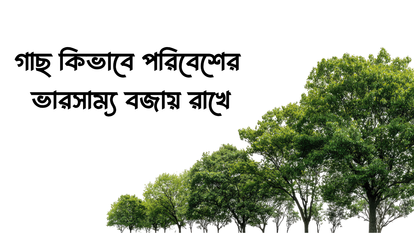 গাছ কিভাবে পরিবেশের ভারসাম্য বজায় রাখে